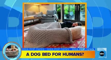 Plufl featured on Good Morning America