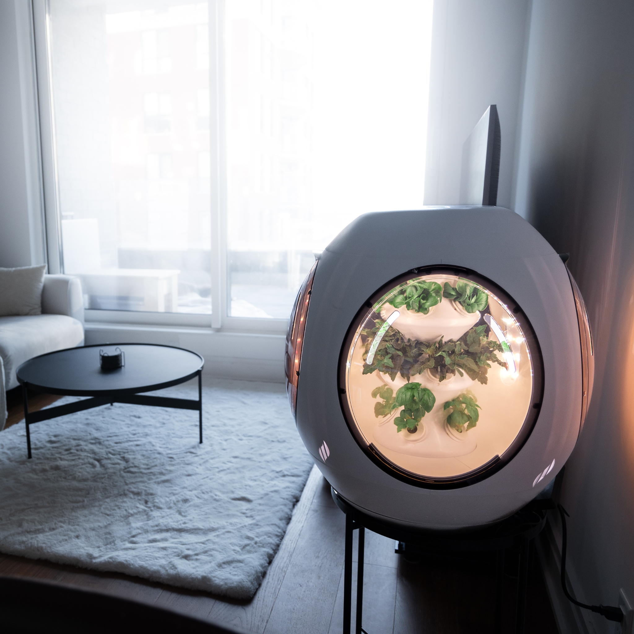 Plantaform hero 2