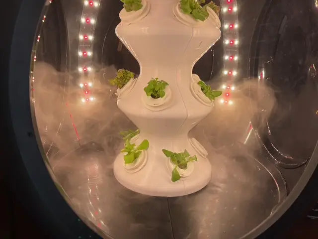 Fogponics technology