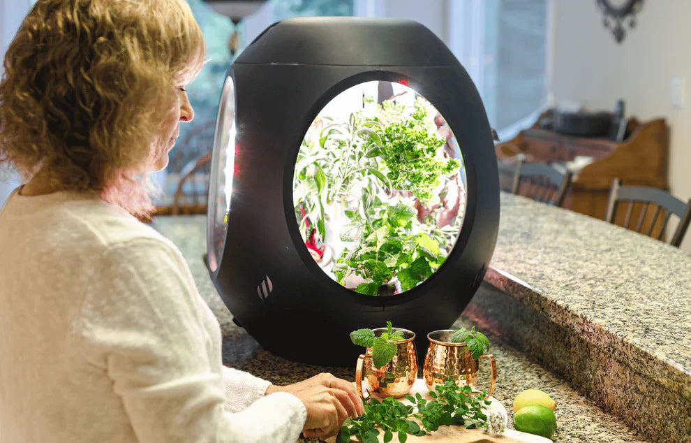 Innovation Spotlight: This NASA Technology Grows Herbs with 7X More Nutrients Than Grocery Store Produce